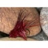 Claret Muddler