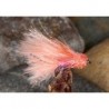 Coral Candy
