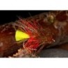 Dabbler Muddler Dunkeld