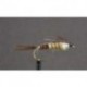 walkers mayfly