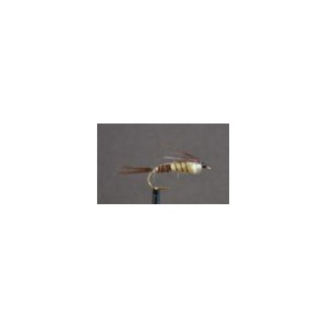 walkers mayfly