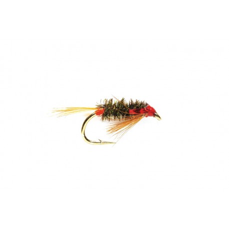 D Red Diawl Bach