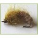 all hare emerger