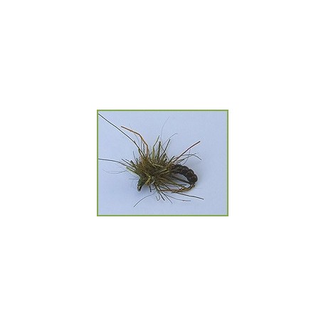 All Purpose Grub Olive