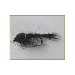 All Purpose Nymph