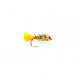 Allen Fly