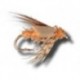 American Grannom Pupa