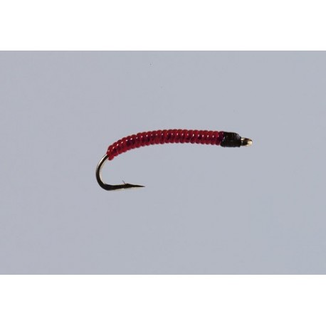 Annelid Red
