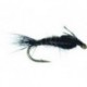 AP Nymph