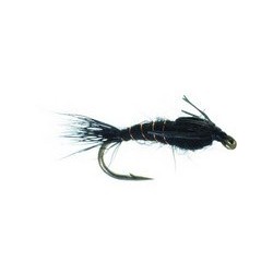 AP Nymph