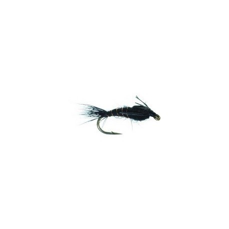 AP Nymph