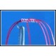 App's Bloodworm Amber