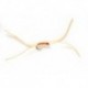 App's Bloodworm Weighted