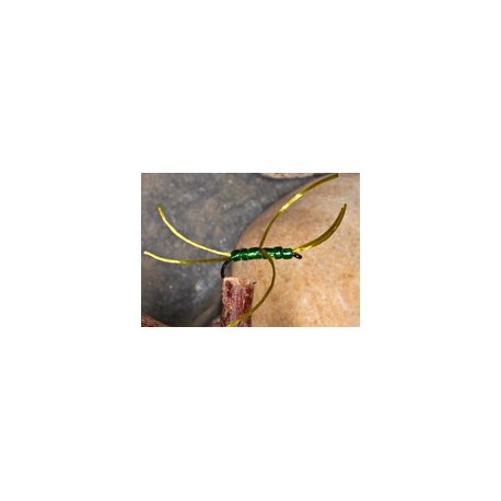 Apps Bloodworm Olive