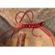 Apps Bloodworm Red