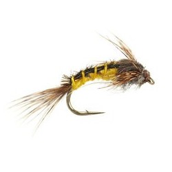 Baetis Yellow Nymph