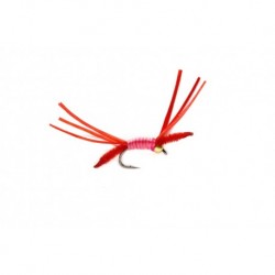 BH Medusa Red