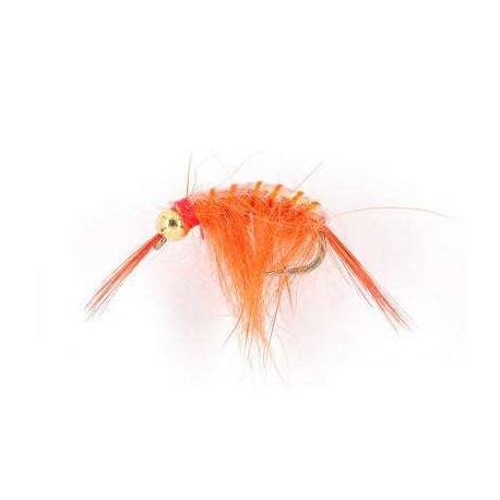 bh scud orange