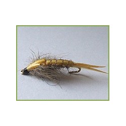 Biot Back Nymph