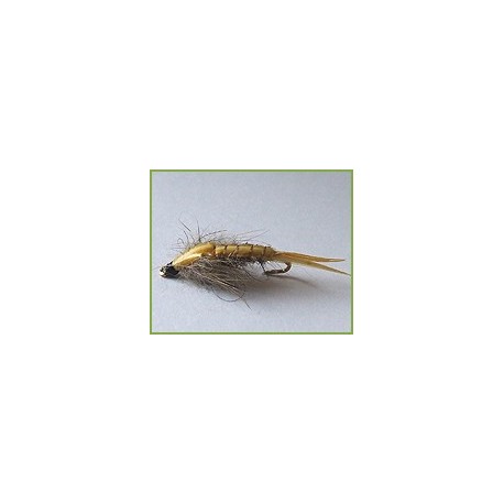 Biot Back Nymph