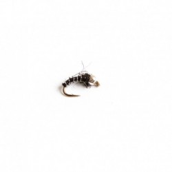 Biot Pupa Black & Silver