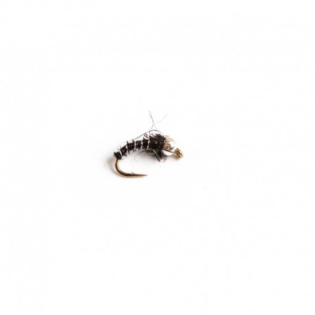 Biot Pupa Black & Silver
