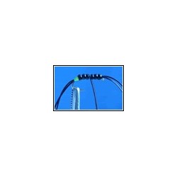 Black Apps Beaded Bloodworm