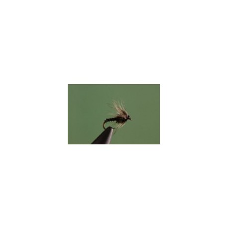 Black Biot Midge