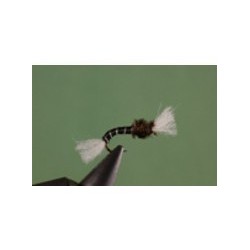 Black Buzzer