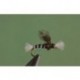 Black Chironomid Pupa