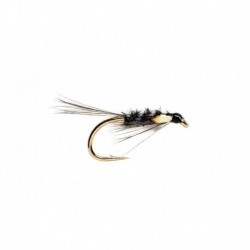 Black Diawl Bach
