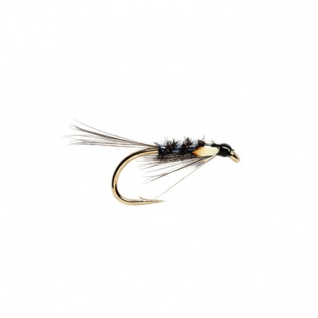 Black Diawl Bach