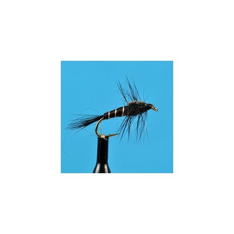 Black Mayfly Nymph