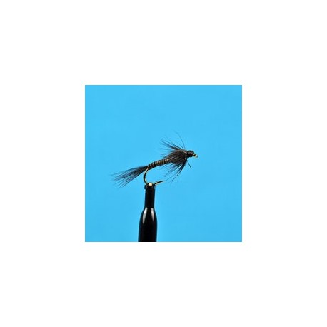 Black Quill Nymph