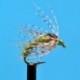 Bead Head Holy Grail Hares Ear Olive
