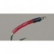 Blood Midge