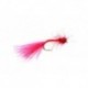 blood worm