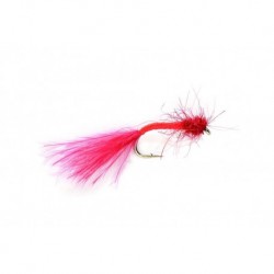 blood worm