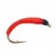 Blood worm