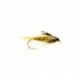 Blue Winged Olive