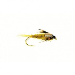 Blue Winged Olive
