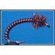 Brassie Black Red
