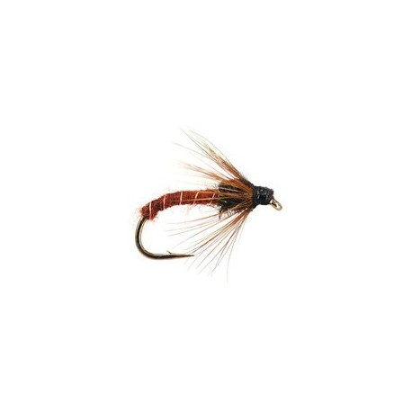 Brown Ripped Clasic Nymph