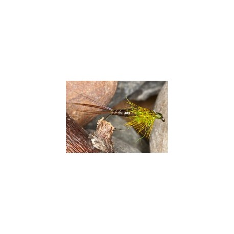 Brown Mayfly Nymph