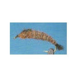 Buller Caddis
