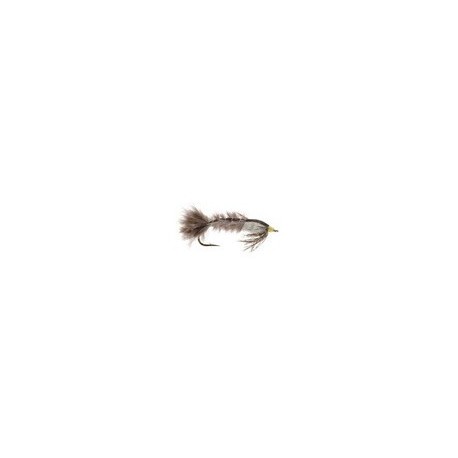 BURKS HEXAGENIA NYMPH