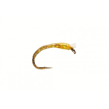 Buzzer D Glass Gold Olive