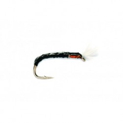 Buzzer Big Fish Black