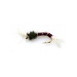 Buzzer claret