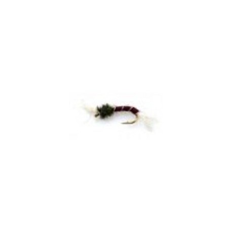 Buzzer claret